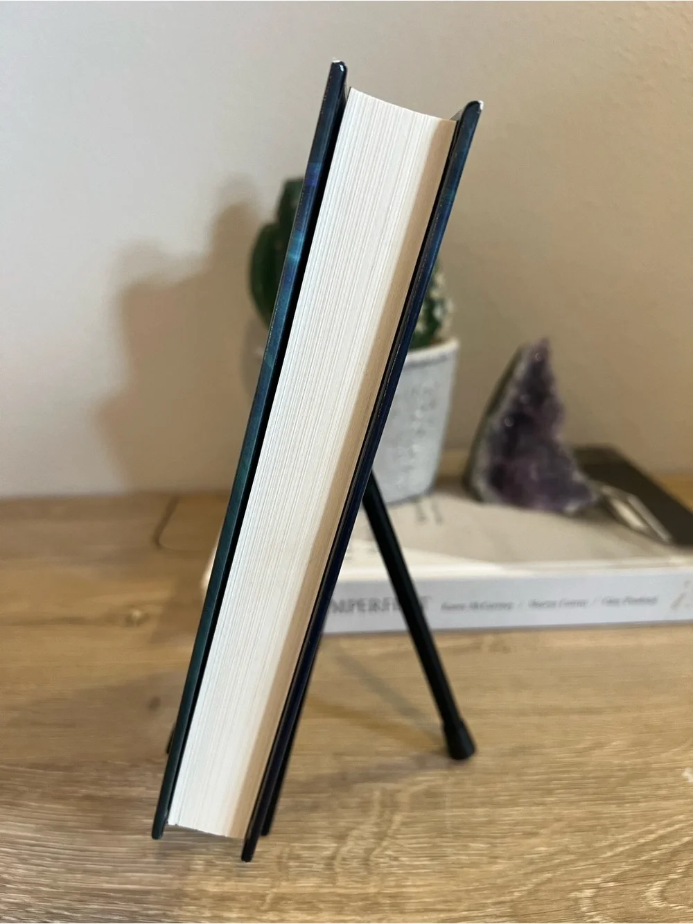 Xiphactinus Rich Shapero Hardcover Book 2025 Silicon Valley Satire Fiction⁠